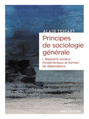 cover image of Principes de sociologie générale--volume I rapports sociaux fondamentaux et formes de dépendance